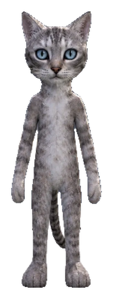 NPC CAT